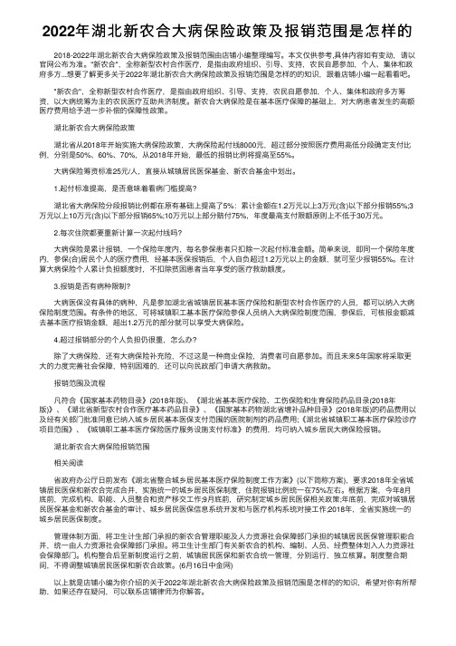 2022年湖北新农合大病保险政策及报销范围是怎样的