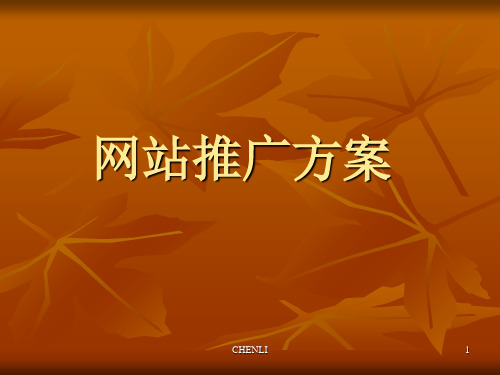 网站推广方案(精品)PPT课件