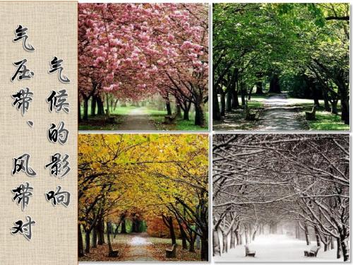 气压带风带对气候的影响