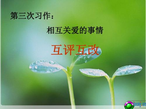 习作三生互改评语指导(新)