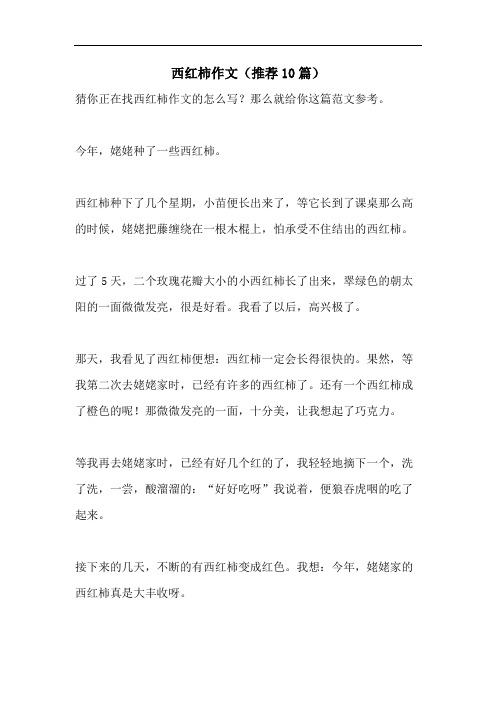 西红柿作文(推荐10篇)