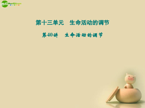 浙江省中考科学一轮复习 第40讲 生命活动的调节课件