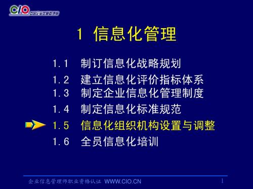 企业信息管理师培训-信息化管理(高级-3)