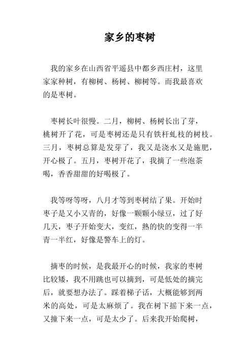 家乡的枣树