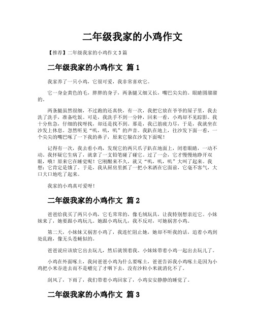 二年级我家的小鸡作文