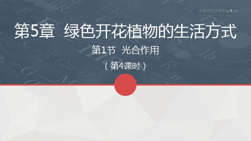 北师版生物七年级上册第5章第1节《光合作用》课件(第4课时)