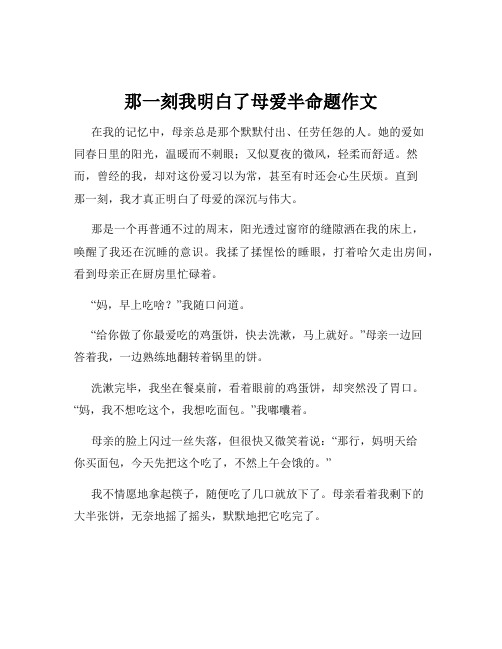 那一刻我明白了母爱半命题作文