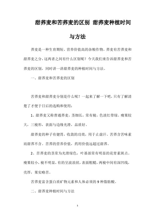 甜荞麦和苦荞麦的区别甜荞麦种植时间与方法