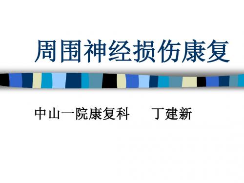 周围神经损伤的康复1