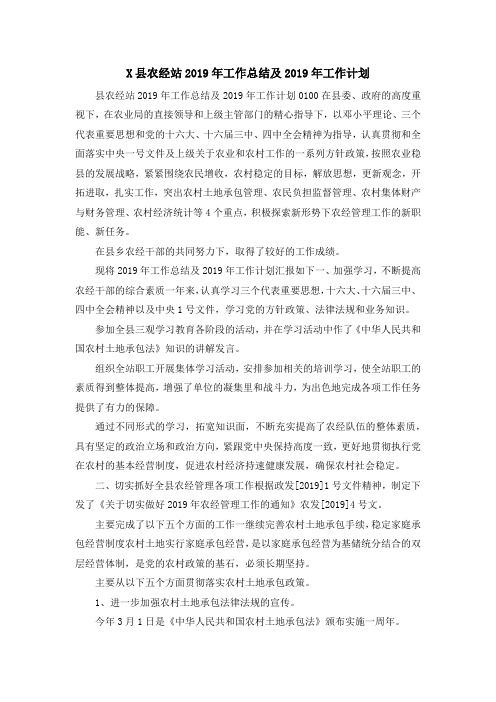 工作总结-X县农经站2019年工作总结及2019年工作计划 精品
