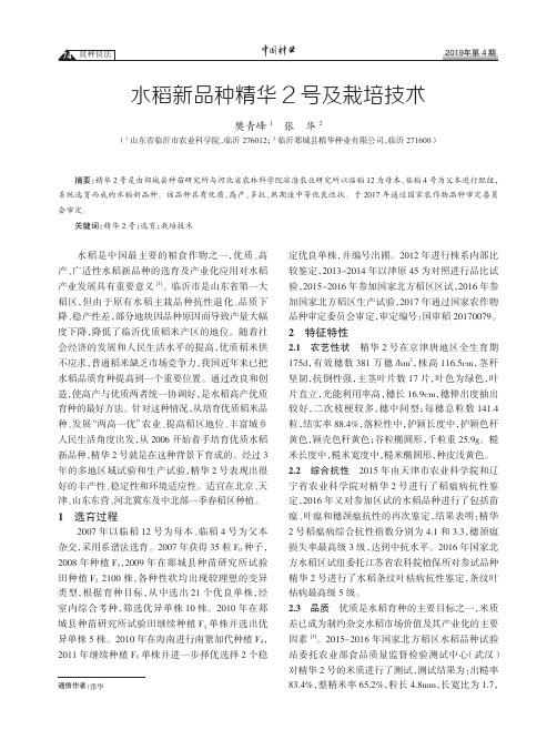 水稻新品种精华2号及栽培技术