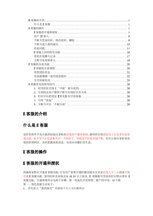 E客服全教程