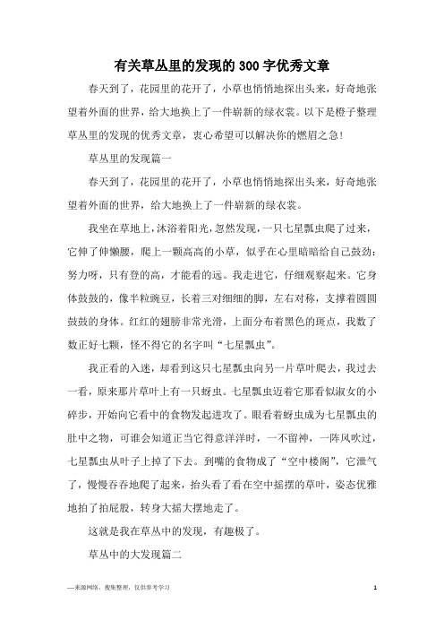 有关草丛里的发现的300字优秀文章