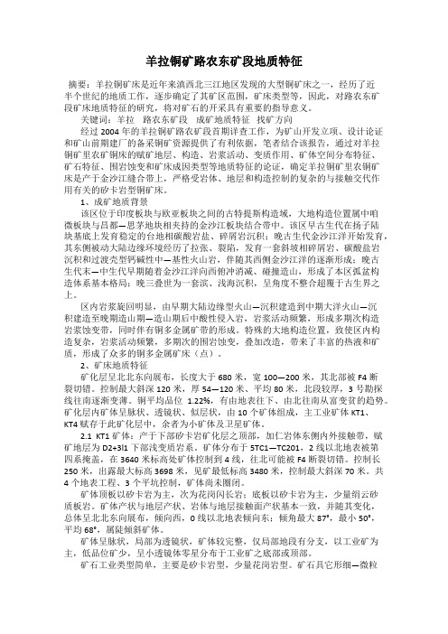羊拉铜矿路农东矿段地质特征