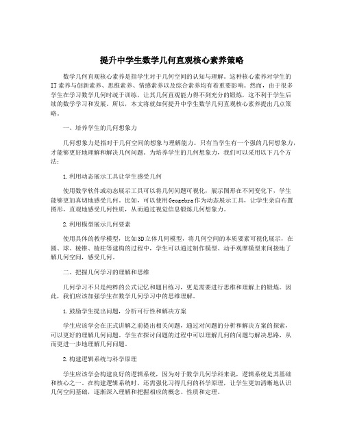 提升中学生数学几何直观核心素养策略