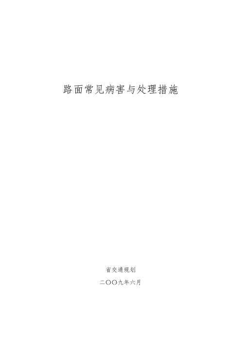 路面病害与治理措施方案