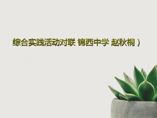 综合实践活动对联 锦西中学 赵秋桐)PPT24页