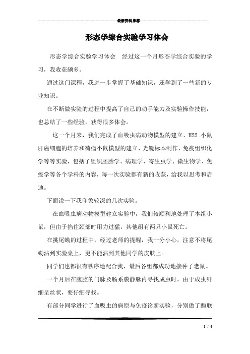 形态学综合实验学习体会