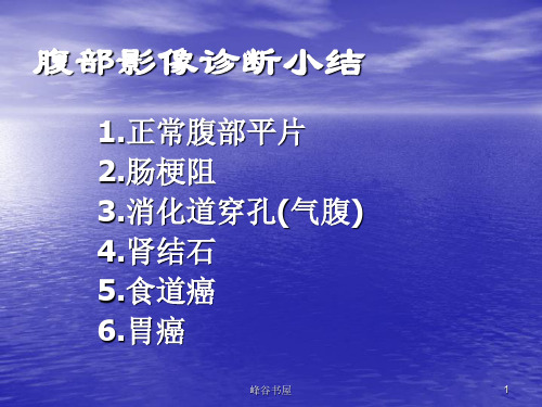 执业医师技能考试 X线、CT、B超  辅导[研究材料]