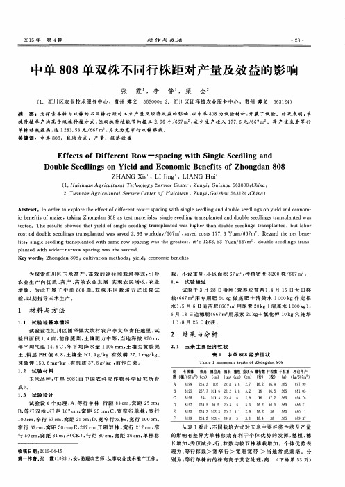 中单808单双株不同行株距对产量及效益的影响