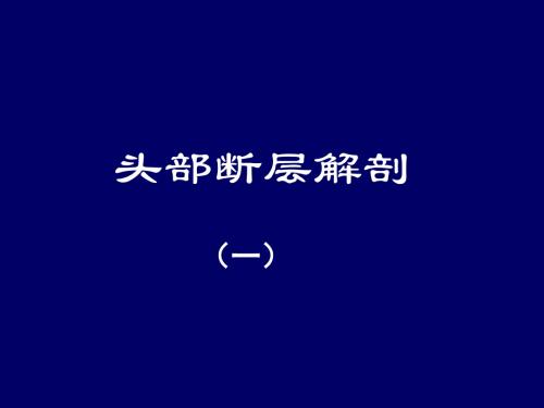 医学-人体断层解剖学-头部断层解剖