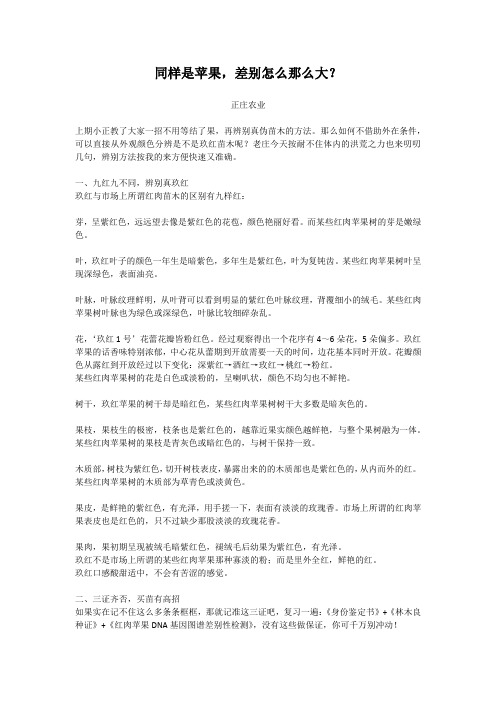 如何鉴别红肉苹果？