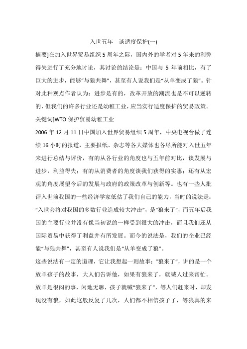 入世五年 谈适度保护(一)