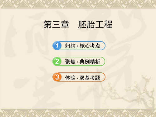 【全程复习方略】高中生物 1.3胚胎工程课件 中图版选修3