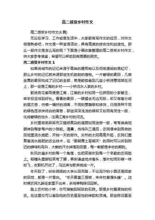 高二感受乡村作文（6篇）