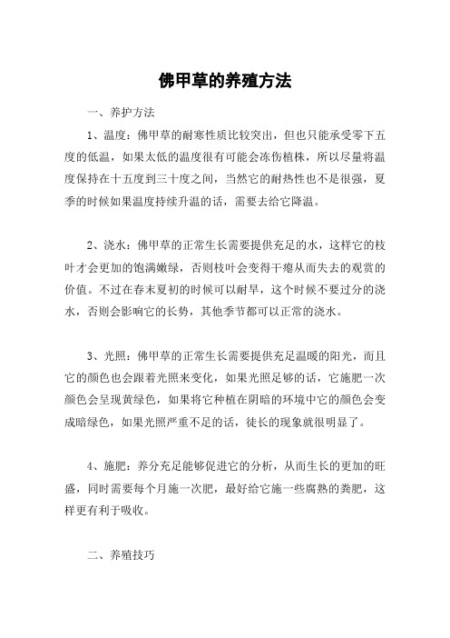佛甲草的养殖方法