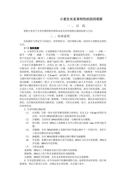小麦实验课讲稿