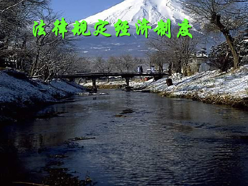 法律规定经济制度PPT课件