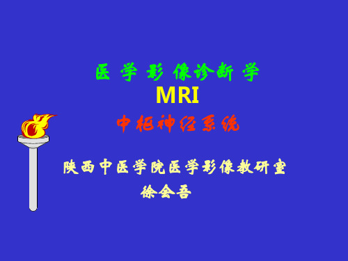 影像专业MRI神经系统