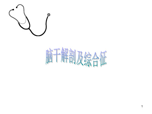 (医学课件)脑干解剖及综合征