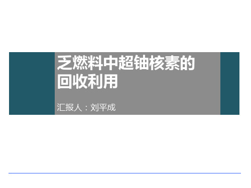 乏燃料的处理刘平成