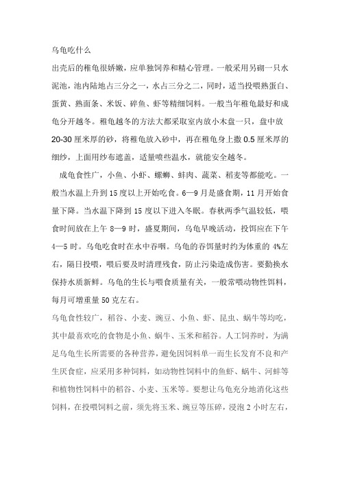 乌龟饲养