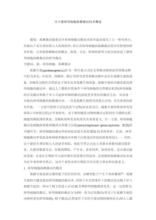 关于猪卵母细胞孤雌激活技术概述