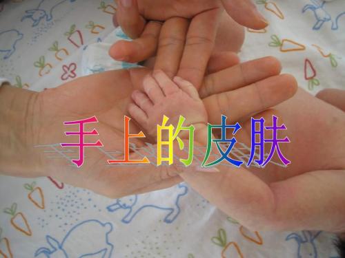 语文北师大四年级下册《手上的皮肤》课件1