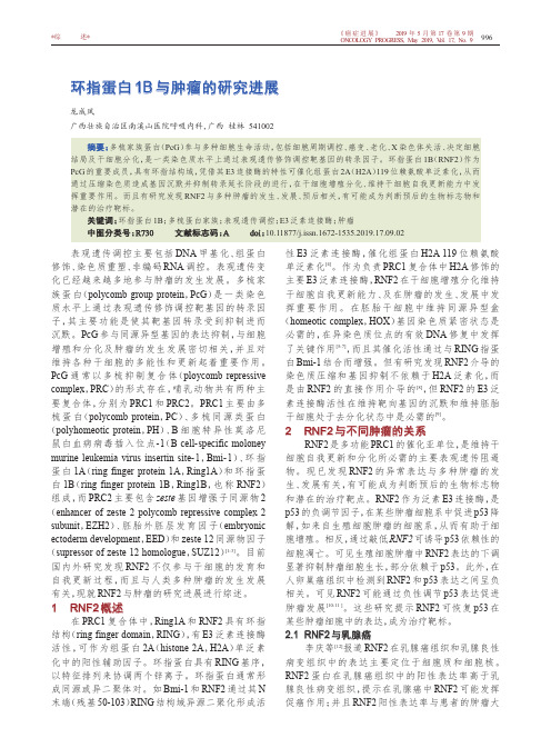 环指蛋白1B与肿瘤的研究进展