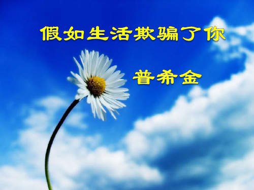 《假如生活欺骗了你》ppt课件(19页)