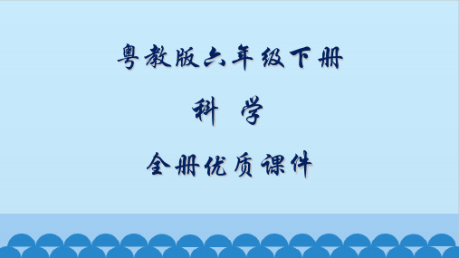 粤教版小学六年级科学下册全册课件【2019】