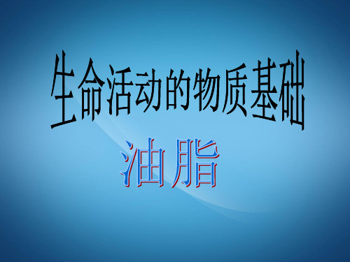高二化学ppt课件 油脂课件
