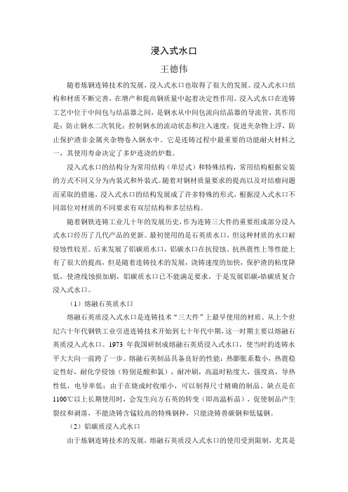 浸入式水口