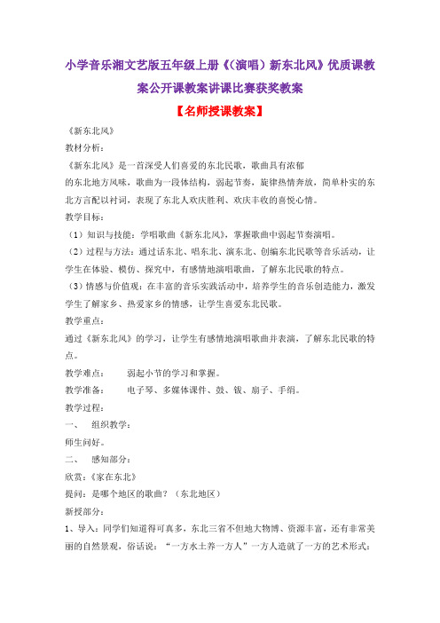小学音乐湘文艺版五年级上册《(演唱)新东北风》优质课教案公开课教案讲课比赛获奖教案D005