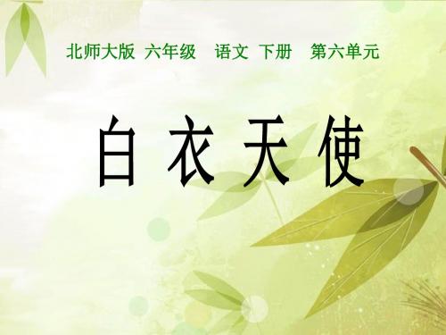 《白衣天使》PPT精品教学课件3