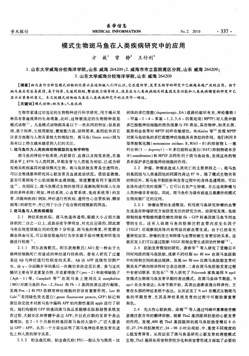 模式生物斑马鱼在人类疾病研究中的应用
