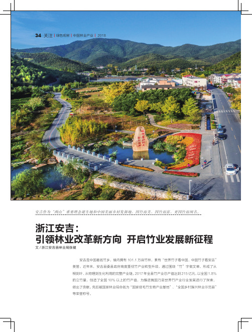 浙江安吉：引领林业改革新方向开启竹业发展新征程