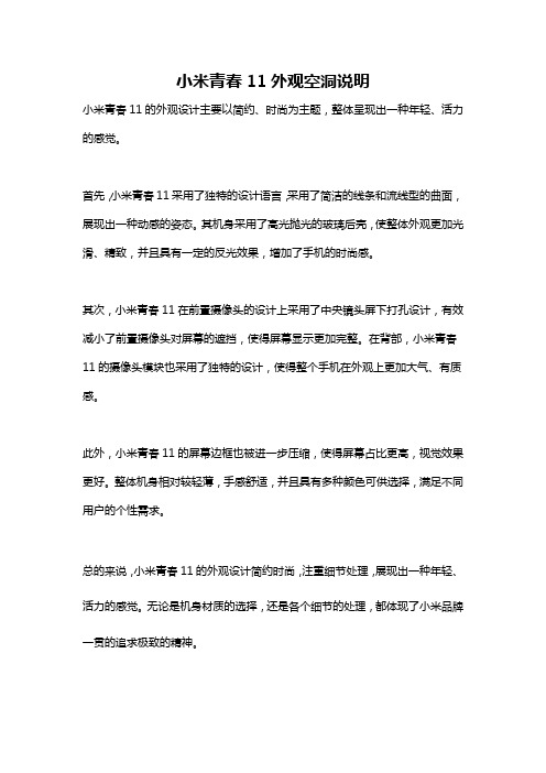 小米青春11外观空洞说明
