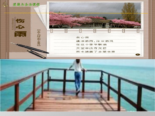 4.2《情绪的管理》ppt课件