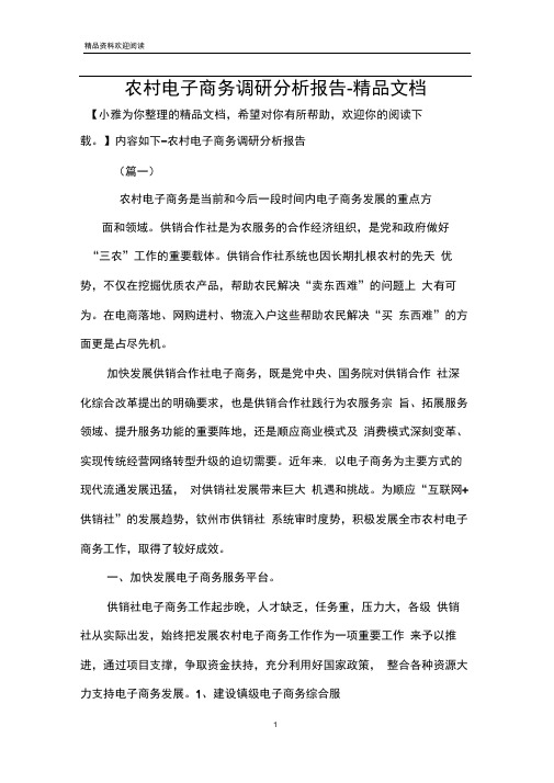 农村电子商务调研分析报告-精品文档